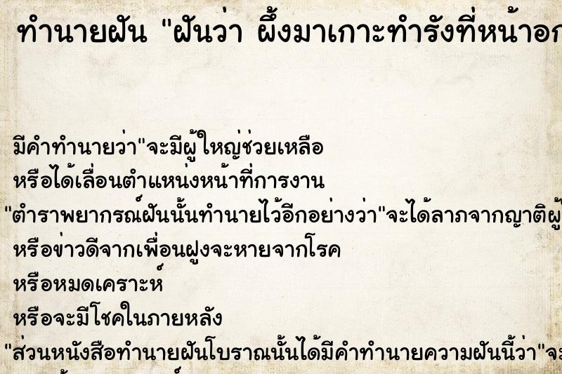 ทำนายฝันฝันว่าผึ้งมาเกาะทำรังที่หน้าอก ทำนายฝันทำนายฝันฝันว่าผึ้งมาเกาะทำรังที่หน้าอก